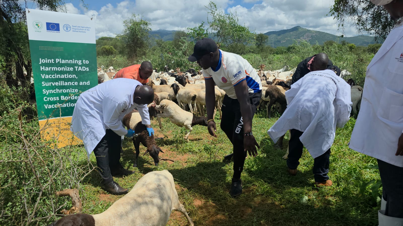 Kenya, Tanzania Strengthen Cross-Border Fight Against Livestock Diseases
